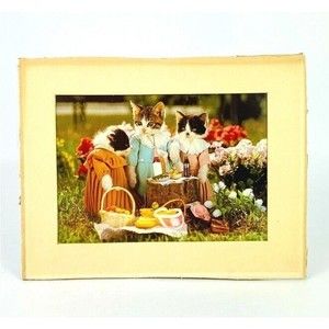Funny Vintage Cat Art Photograph‎ Lithographic Print Saturo Tuda Cute Kittens
